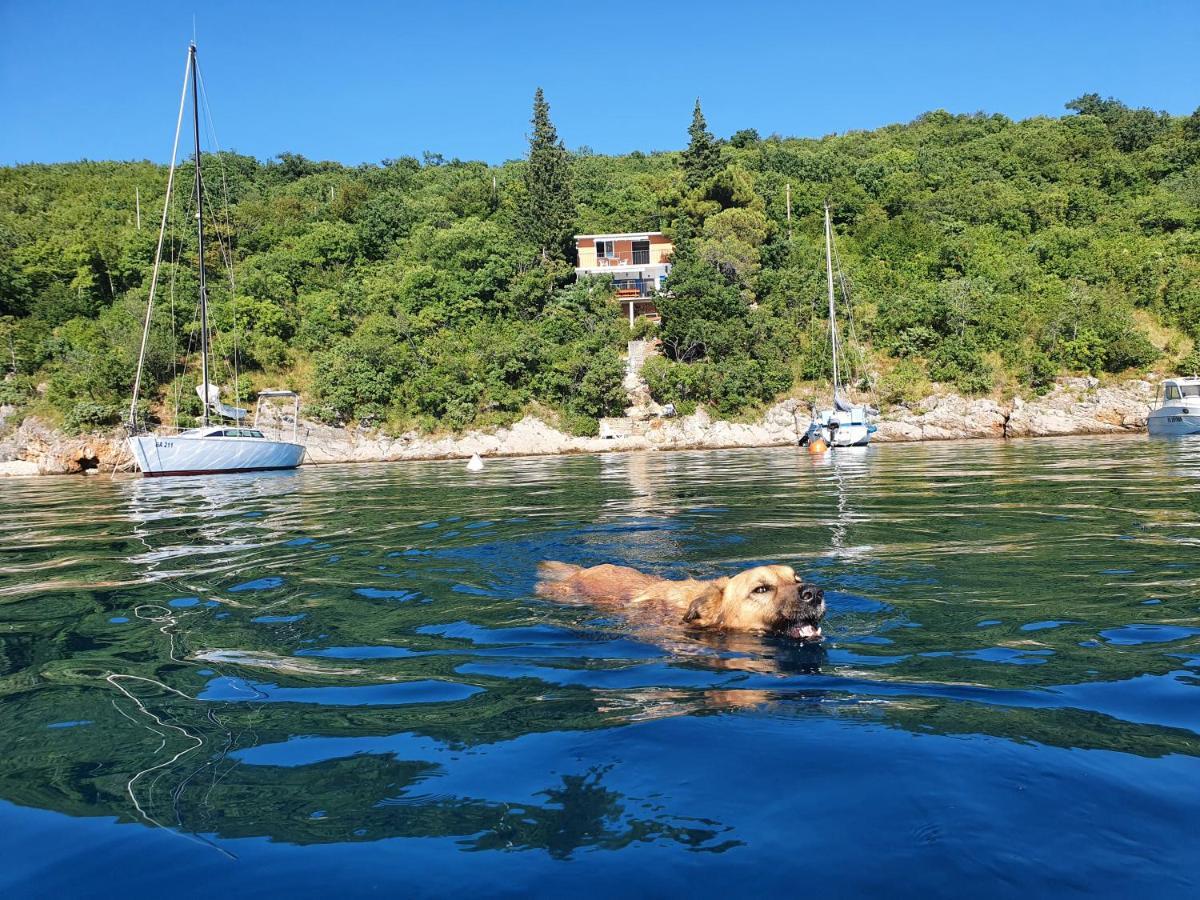 Sea House Bassi Počitniška hiša Kraljevica